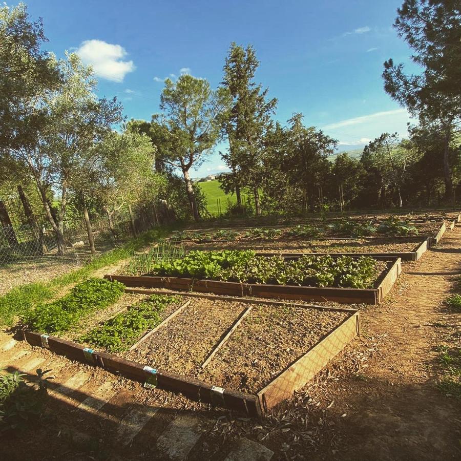 Agriturismo Pometti - Fattoria La Selva Trequanda Luaran gambar